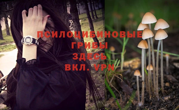 гидра Алзамай