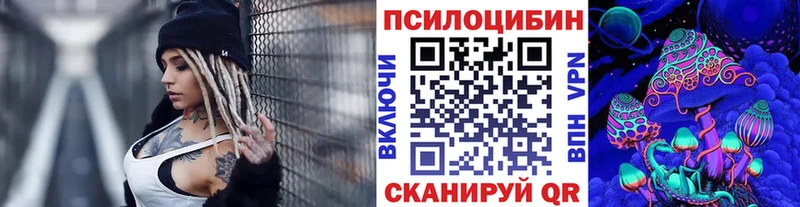Псилоцибиновые грибы Psilocybe  Ясный 